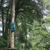 Arb’Aventure Videos Arb’Aventure Videos